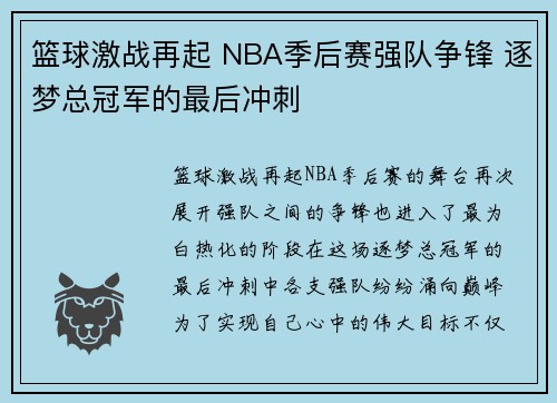 篮球激战再起 NBA季后赛强队争锋 逐梦总冠军的最后冲刺